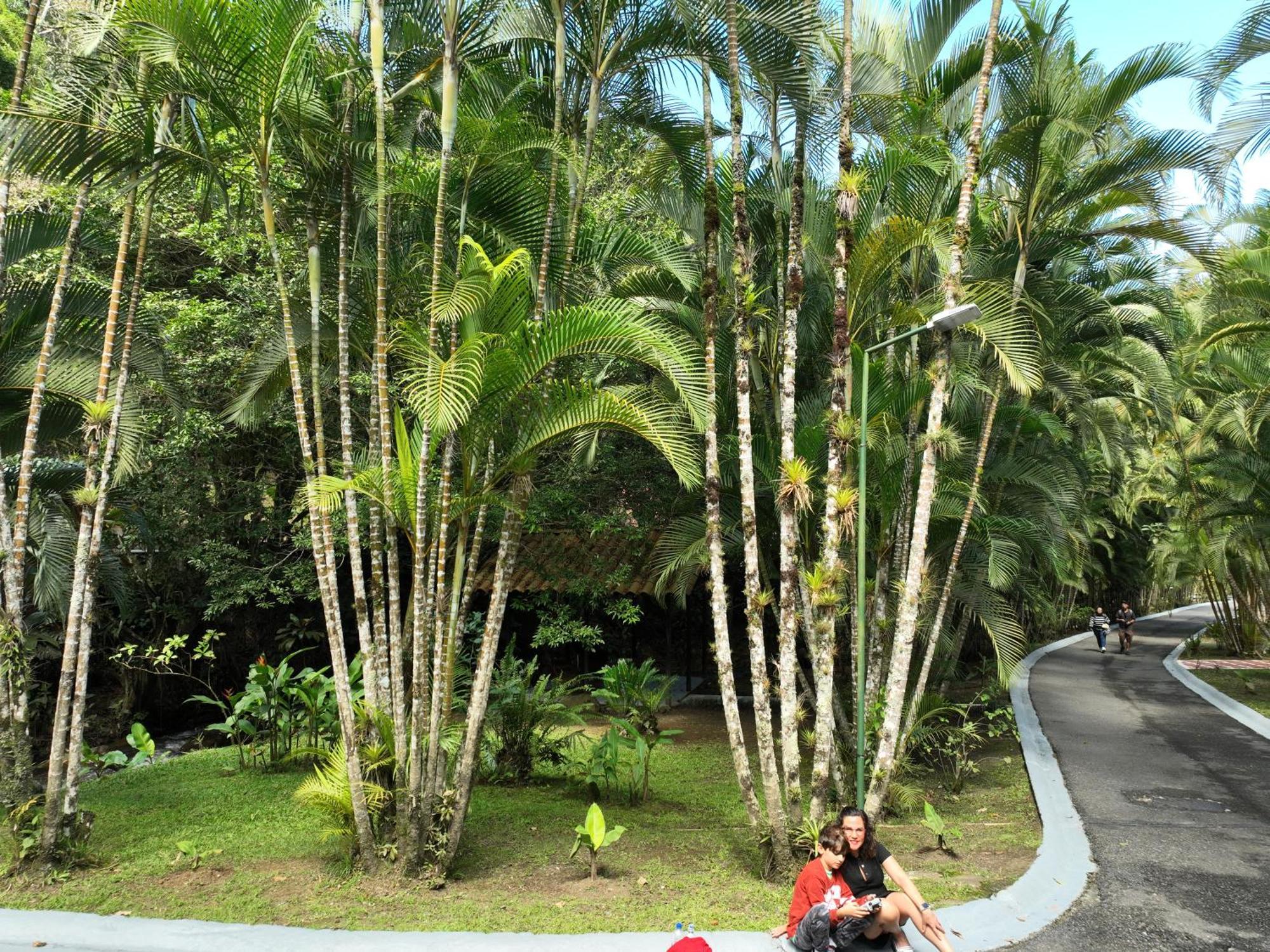 Rio Perlas Thermal Resort & Spa Cartago Bagian luar foto