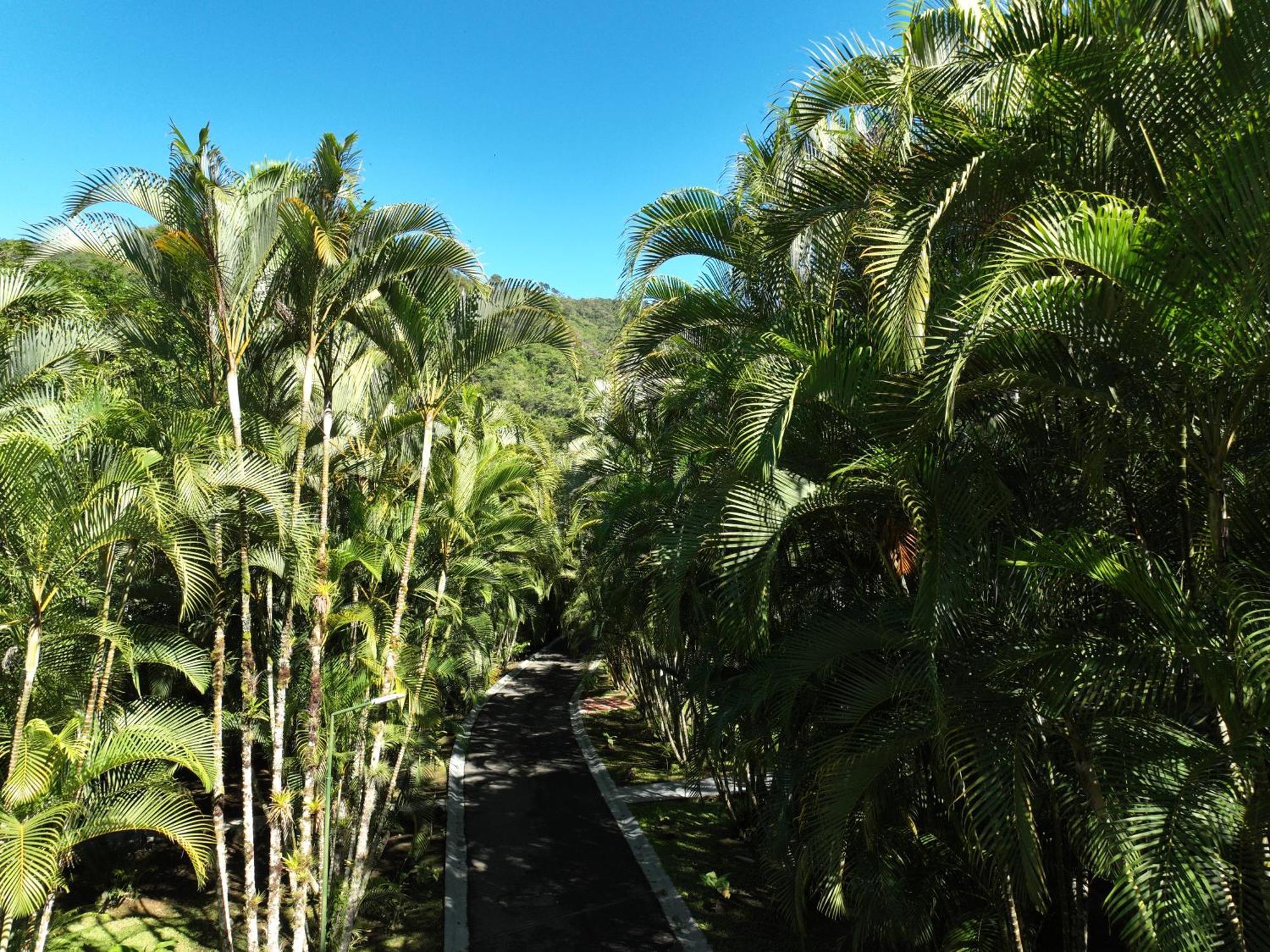 Rio Perlas Thermal Resort & Spa Cartago Bagian luar foto